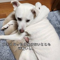無邪気で可愛いらんちゃん