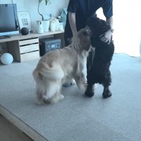熱烈大歓迎♪