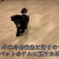 初めてのペットホテルへ