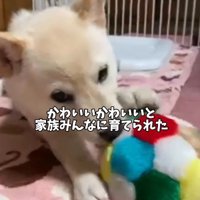 家族全員が溺愛した