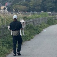 抱っこされながら散歩する犬