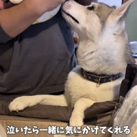 赤ちゃんに寄り添う犬
