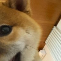 笑顔のうみくん
