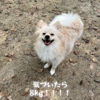 ラテくんのビフォーアフター7