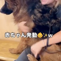 大きな体で抱っこされる犬