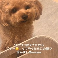 元の表情に戻る