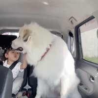 ソワソワ…