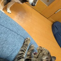 相手