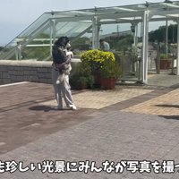 写真撮影まで行われて…