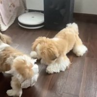 どこ？