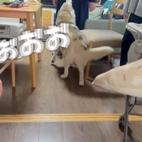 警戒モードに！