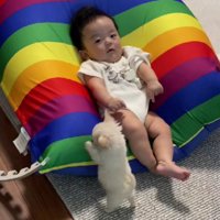 赤ちゃんと極小子犬さん