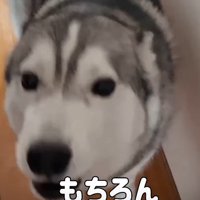 嬉しくて仕方ない