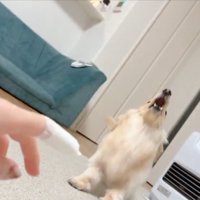 まさかの
