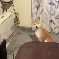 「暖かくないんですけど…」