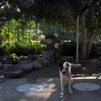 幸せそうな表情に♪