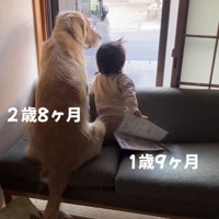 窓の外を静かに見つめるふたり