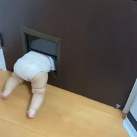 赤ちゃんが詰まってる！！