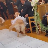 「パパここにいたの！！」