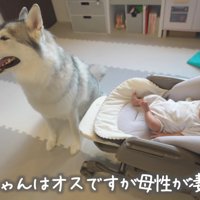 母性あふれるもんちゃん