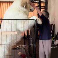 愛情はどちらも特大サイズ♡