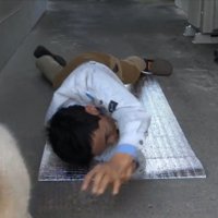 最後はやっぱり放置