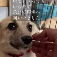 なんとか無事に保護するも…