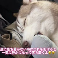 眠れないときも一気に静かになる
