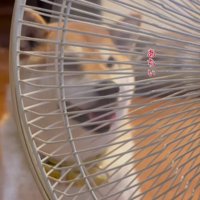 間近で当たり過ぎて…