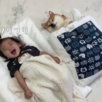 並んで眠れて大満足♪