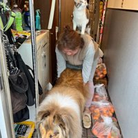 まるでブレーメンの音楽隊♪