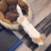「置いて行かれるのは嫌！」