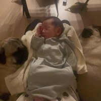 あぽ君とのえる君と赤ちゃん8