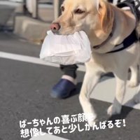 おばあちゃんの笑顔が見たい