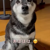 苦笑いするママ