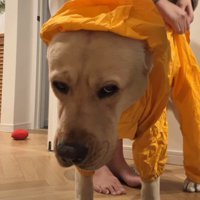 見るからにどんより