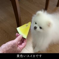 帰省したことを実感♡