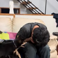 駆けつける犬たち