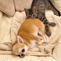 出会ったばかりとは思えない！