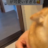 忠太くんの熱烈歓迎5