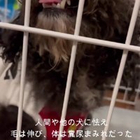 人間に牙を向けることも