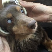 オシャレもバッチリ