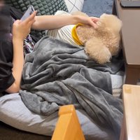甘えん坊モード