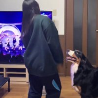 ダンスをやめたと思ったら…