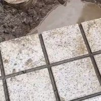 雨上がりの庭にある水たまり