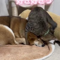 勢いよくハグをして…