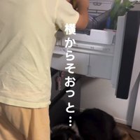バナナを取る息子さん