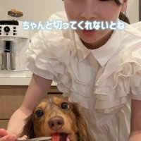 ひと口サイズじゃなきゃ♪
