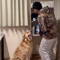 苦しがる飼い主さん