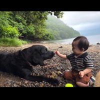 海辺に座る赤ちゃんと黒い犬